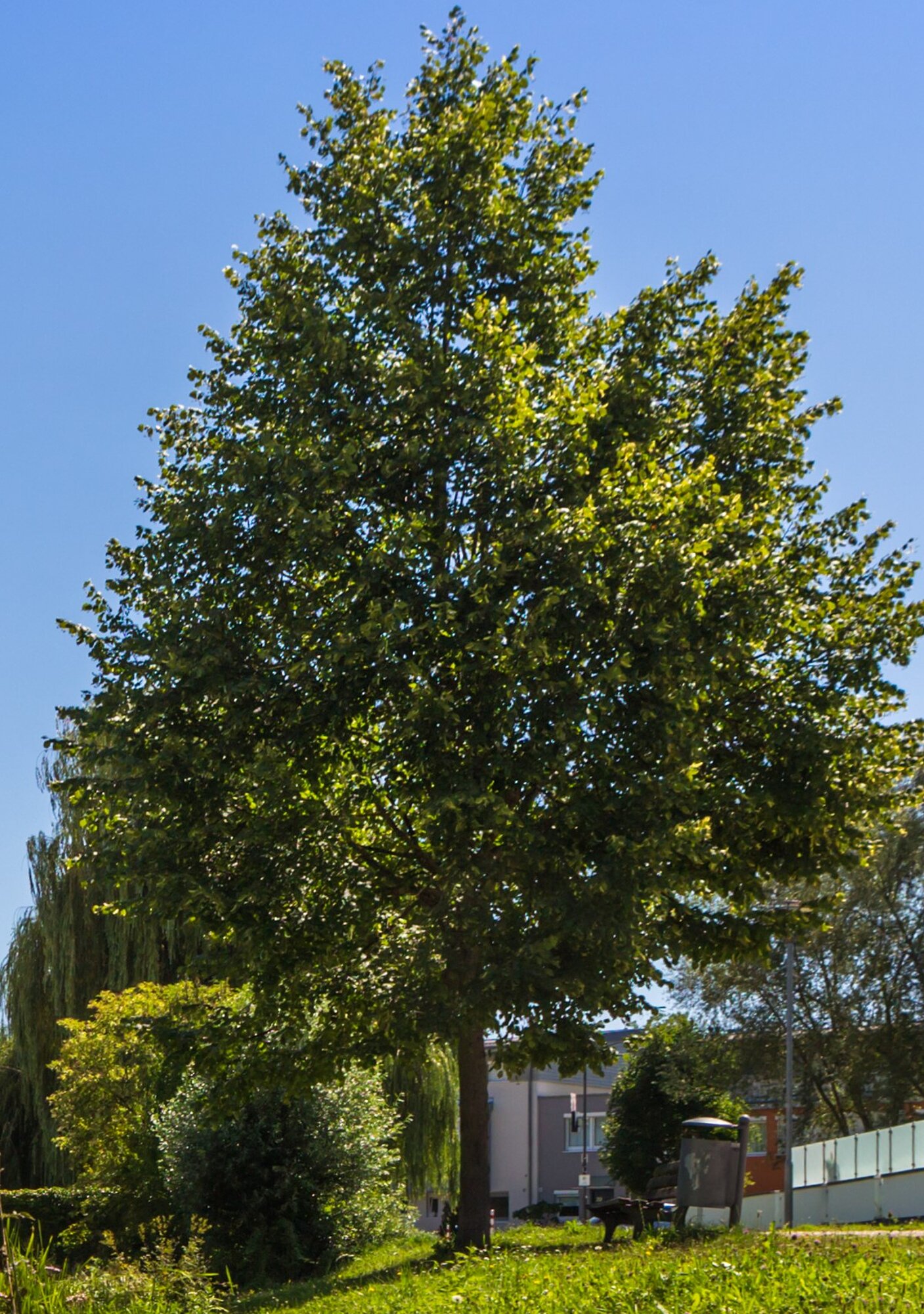 Werkkanal Günzkanal. Foto: Philipp Röger für die Stadt Günzburg