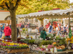 Bauernmarkt. Foto: Philipp Röger für die Stadt Günzburg