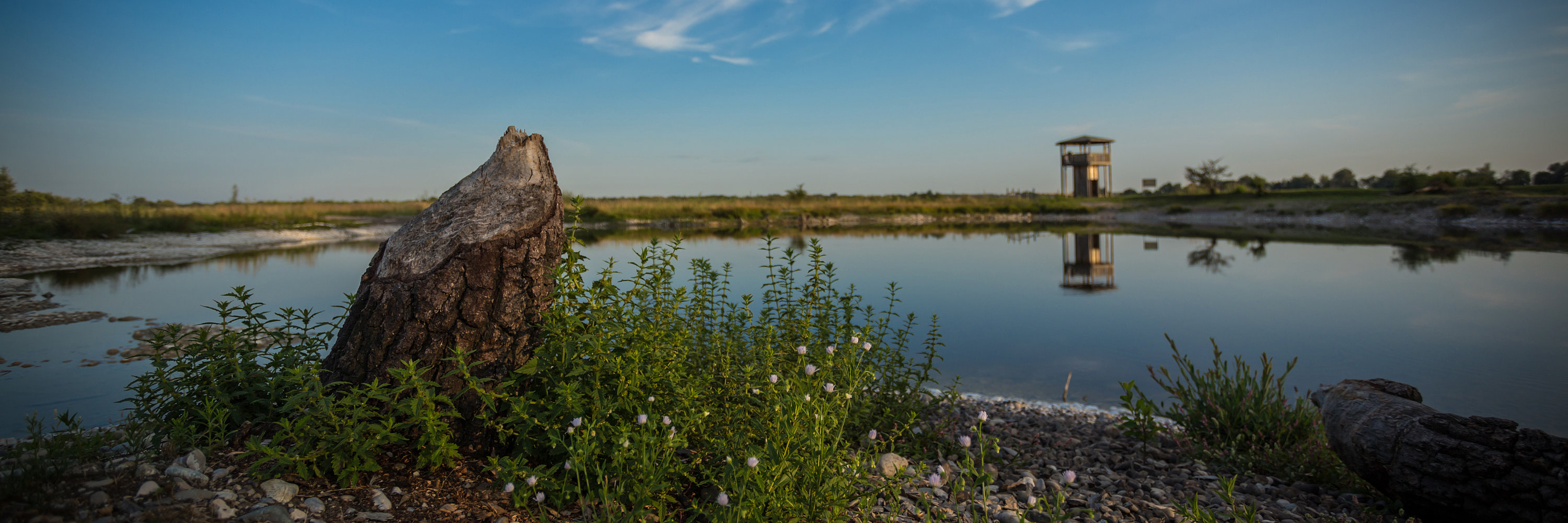 Donaumoos in Günzburg. Foto: Philipp Röger für die Stadt Günzburg