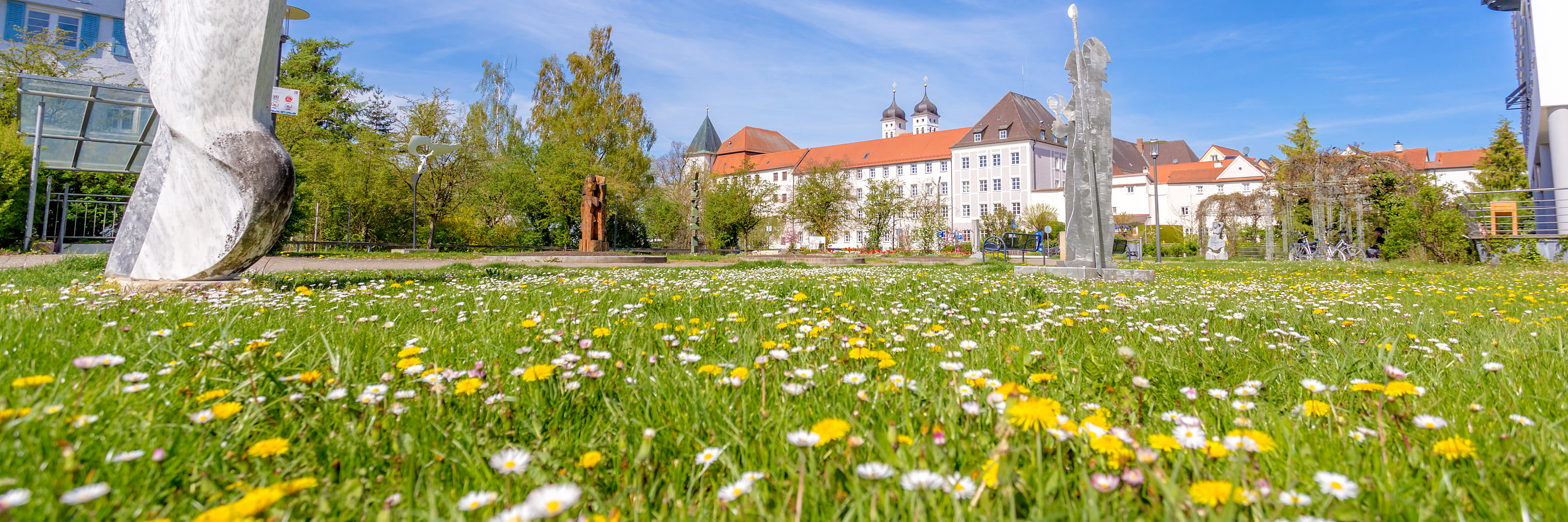 Wiese im Hofgarten. Foto: Philipp Röger für die Stadt Günzburg