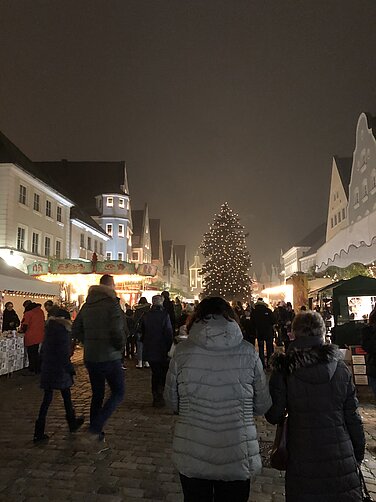 Die Stadt Günzburg sucht wieder Baumspenden zur Weihnachtsdekoration. Foto: Julia Ehrlich/ Stadt Günzburg