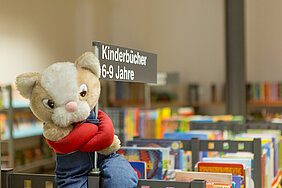 Eine große Auswahl an Medien gibt es in der Stadtbücherei Günzburg. Foto: Philipp Röger für Stadt Günzburg