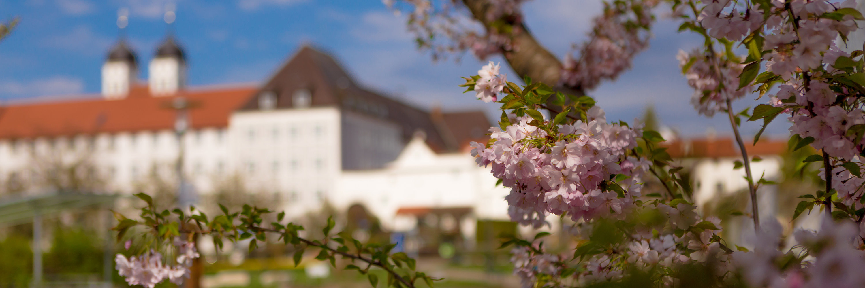 Hofgarten im Frühling. Foto: Philipp Röger für die Stadt Günzburg