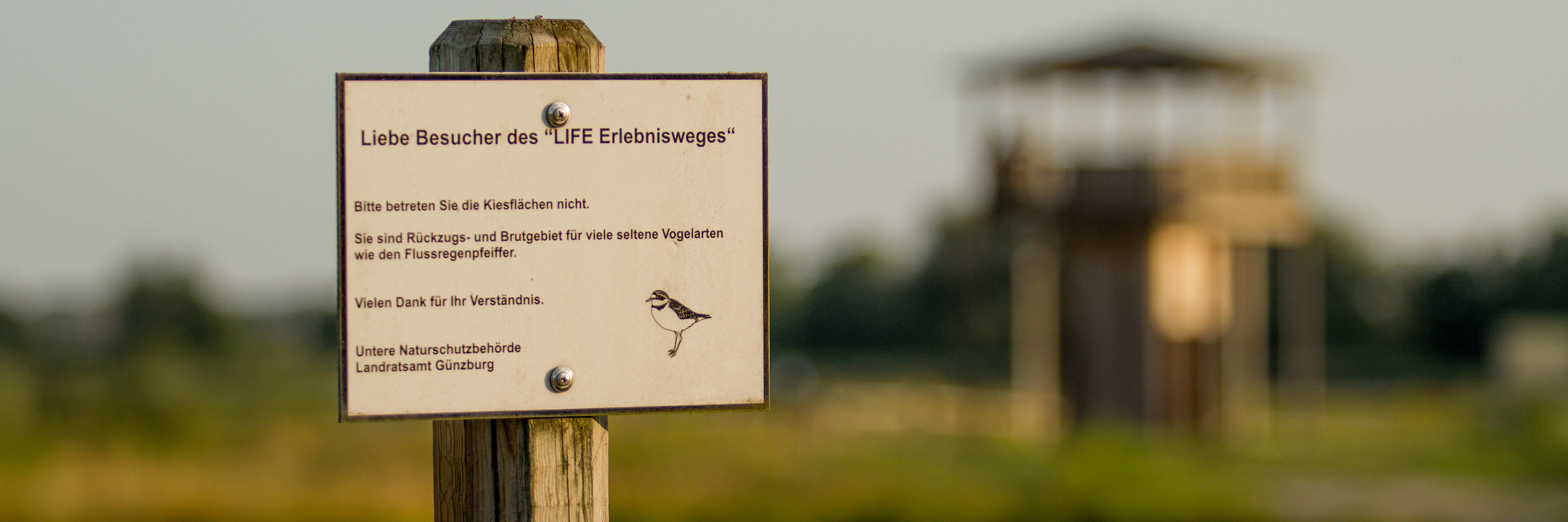 Schutzgebiet im Donaumoos. Foto: Philipp Röger für die Stadt Günzburg