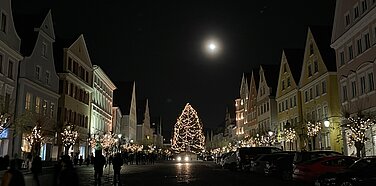 Die Stadt Günzburg sucht wieder Baumspenden zur Weihnachtsdekoration. Foto: Michael Lindner/Stadt Günzburg