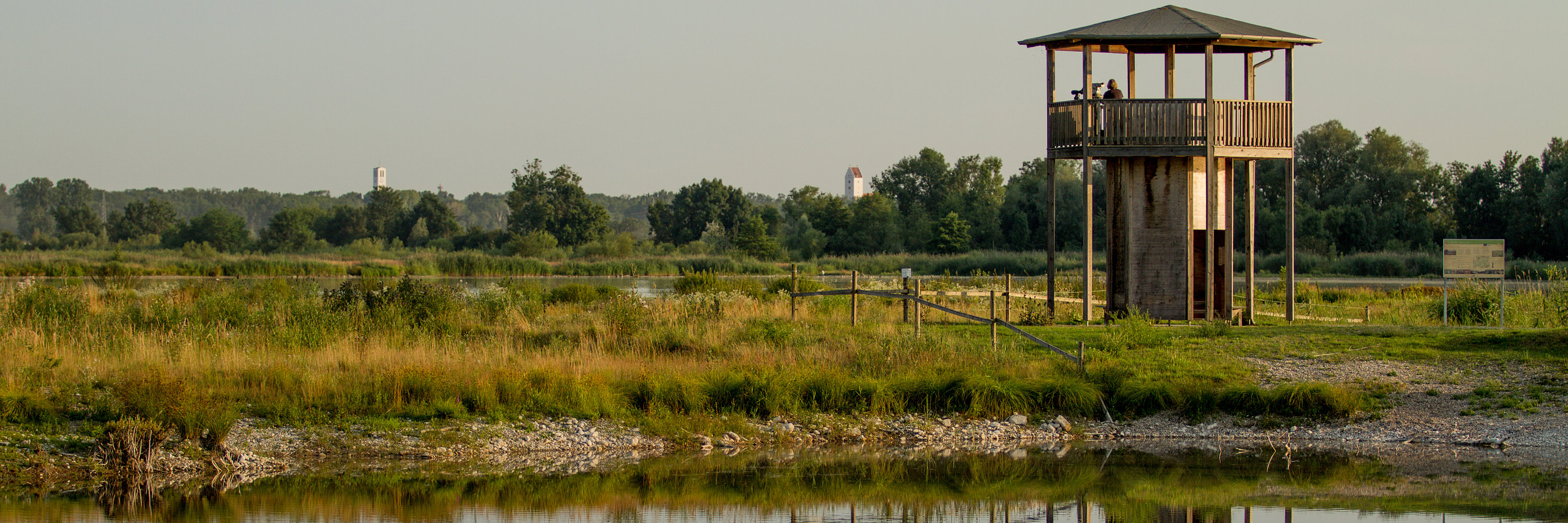 Naturschutzgebiet im Donaumoos. Foto: Philipp Röger für die Stadt Günzburg