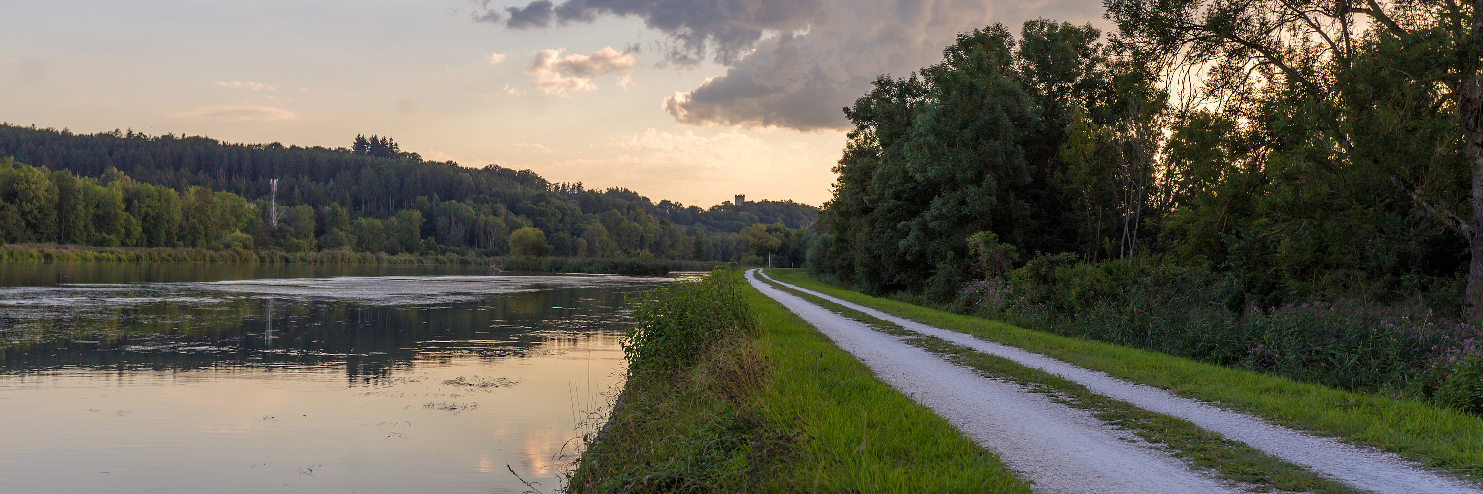 Donauwald. Foto: Philipp Röger für die Stadt Günzburg