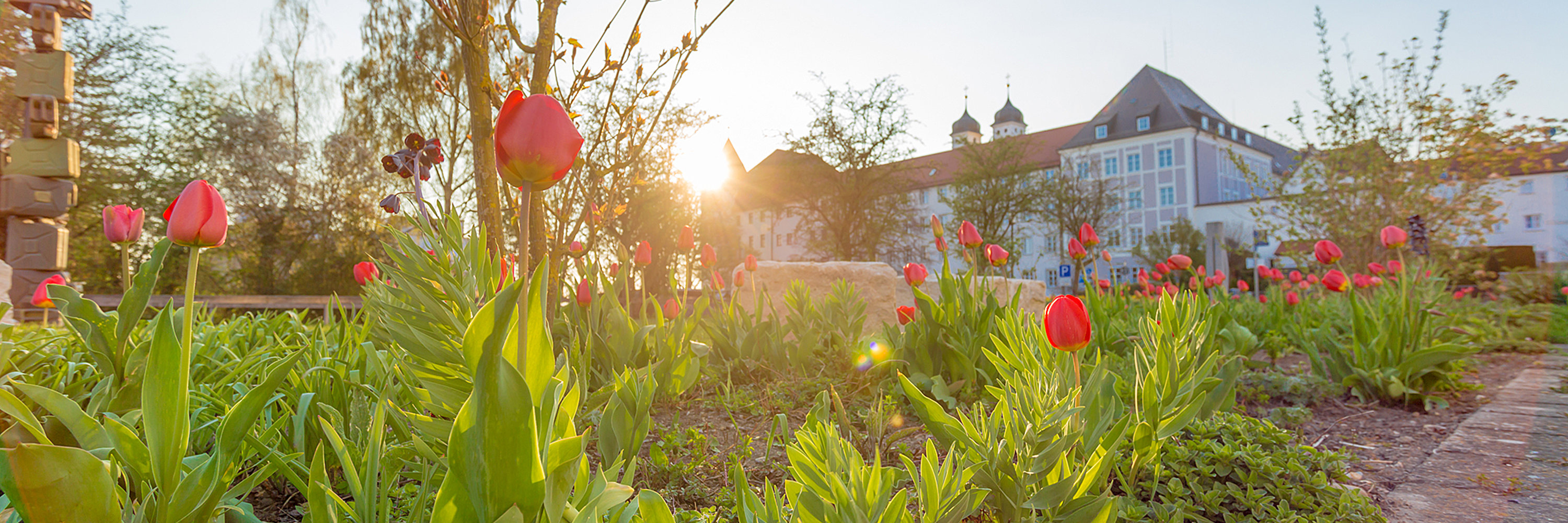 [Translate to English:] Foto: Philipp Röger für die Stadt Günzburg