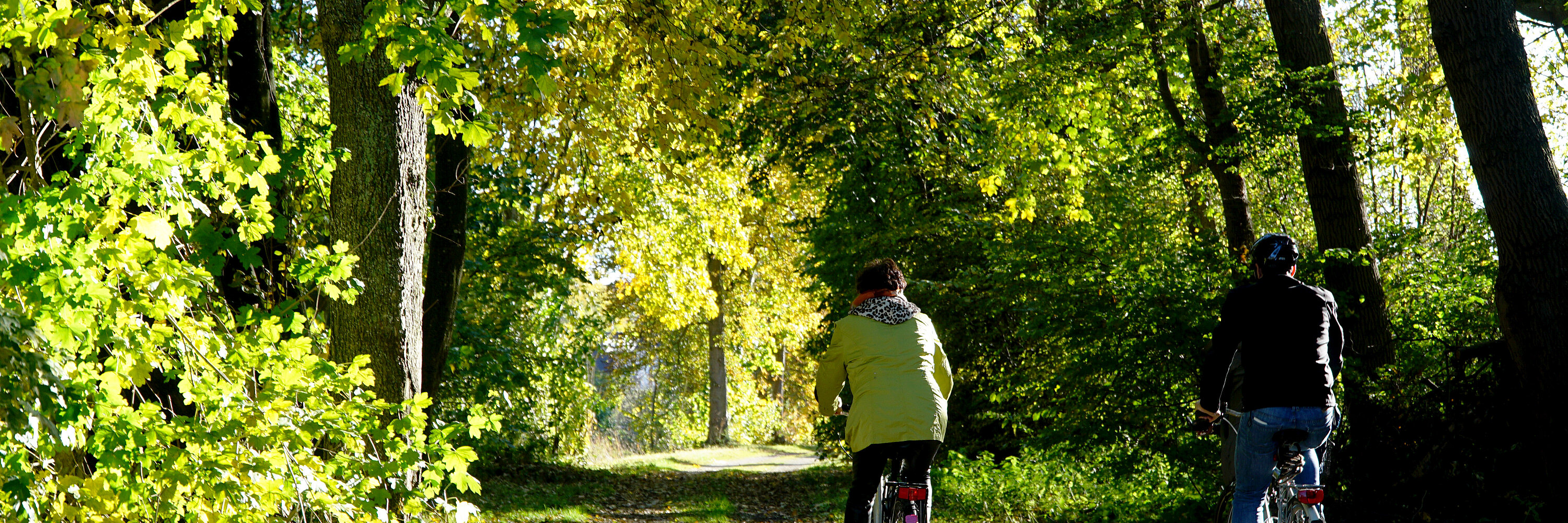 Stadtradeln. Foto: Johanna Hofgärtner/Stadt Günzburg