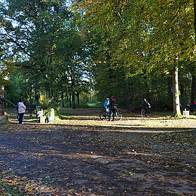 Parklandschaft "Auf der Hagenweide". Foto: Johanna Hofgärtner/Stadt Günzburg