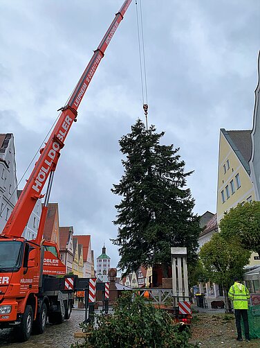 Die Aufstellung des Weihnachtsbaumes auf dem Günzburger Marktplatz in 2021. In diesem Jahr erfolgt diese aufgrund polizeilicher Auflagen nachts. Foto: Carmen Willer/Stadt Günzburg