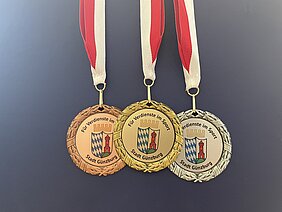 Am 18. November 2025 werden wieder die Sporttreibenden der Stadt Günzburg für besondere Leistungen geehrt. Foto: Michael Lindner/Stadt Günzburg