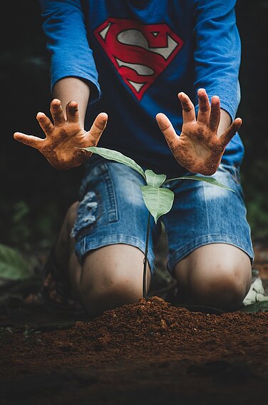Praktische Arbeiten im Wald und im Büro vereint das Freiwillige Ökologische Jahr (FÖJ) bei der Stadt Günzburg. Foto: Shabeer Ali/Pixabay