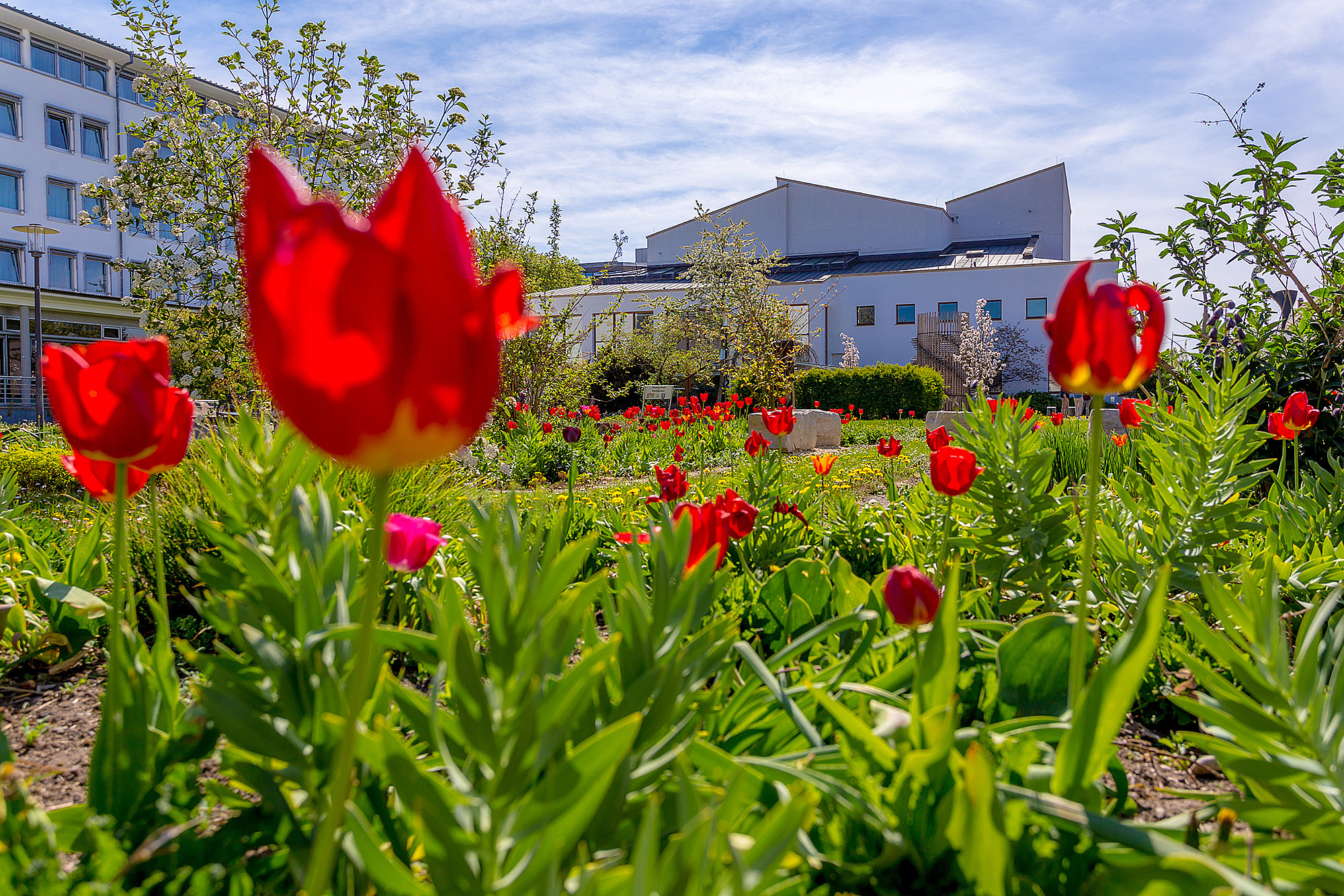 Das Tagungs- und Veranstaltungszentrum in Günzburg: Forum am Hofgarten. Foto: Philipp Röger für die Stadt Günzburg