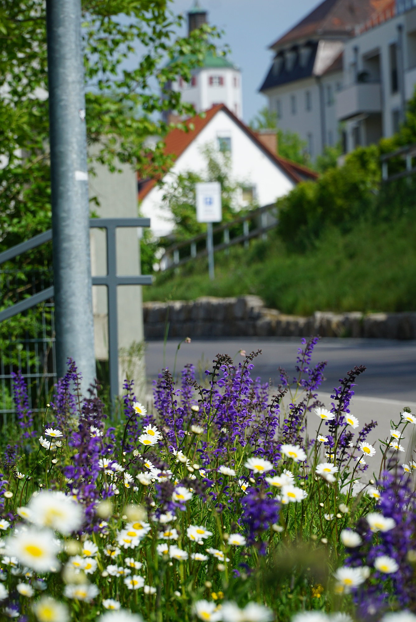 Vereine helfen beim Frühjahrsputz. Foto: Julia Ehrlich/ Stadt Günzburg